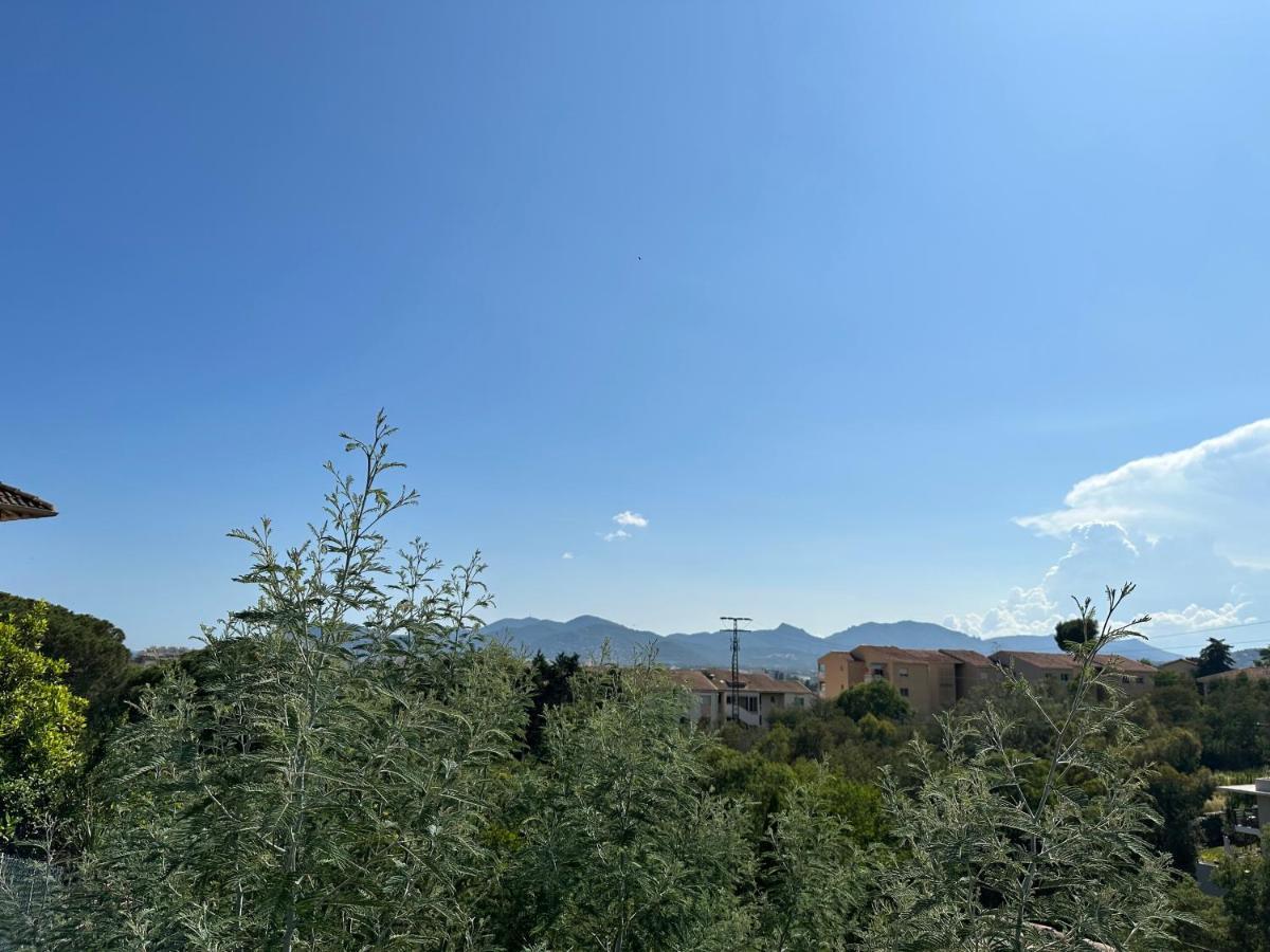 Villa Paradis - Канни Екстер'єр фото